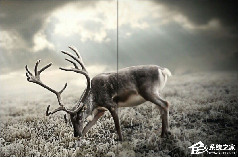 怎么使用PS把模糊的照片变得清晰？Photoshop模糊照片变清晰方法教程