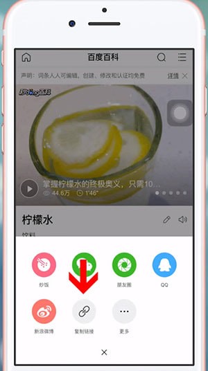 简单搜索中查看网址的具体操作流程