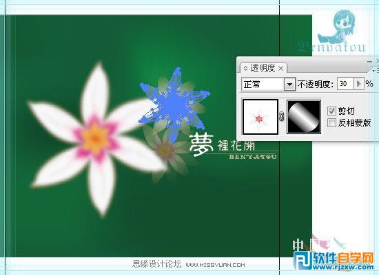 用Illustrator教你怎么绘制小花朵