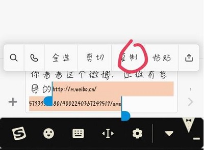 微博视频保存苹果本地教程