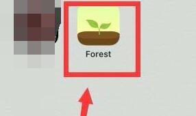 forest怎么开启深度专注模式