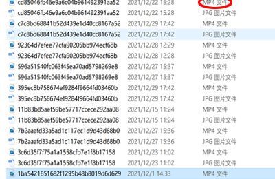 微信已经清理的视频怎么恢复