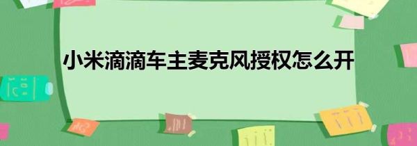 小米滴滴车主麦克风授权怎么开