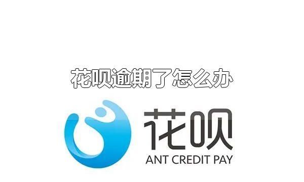 花呗逾期了怎么办 会造成什么后果